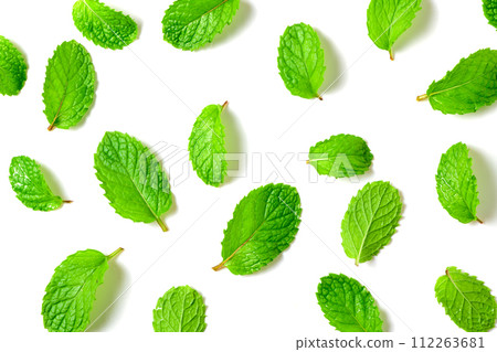 Mint leaf. Fresh mint on white background. Mint leaves isolated. herb and medicine concept 112263681