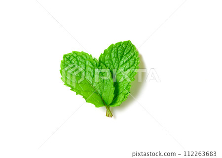 Mint leaf. Fresh mint on white background. Mint leaves isolated. herb and medicine 112263683