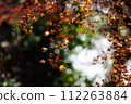 秋天的楓葉和玉模糊 112263884