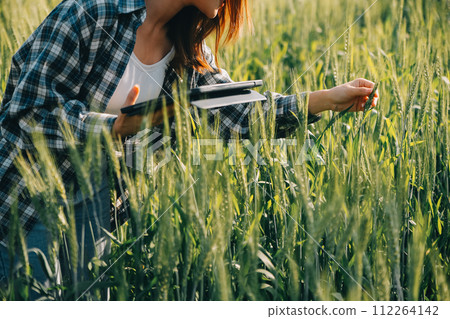 Smart farm. Farmer with tablet in the field. Agriculture, gardening or ecology concept. Harvesting. Agro business. 112264142