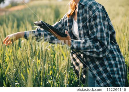 Smart farm. Farmer with tablet in the field. Agriculture, gardening or ecology concept. Harvesting. Agro business. Smart farm. Farmer with tablet in the field. Agriculture, gardening or ecology concept. Harvesting. Agro business. 112264146