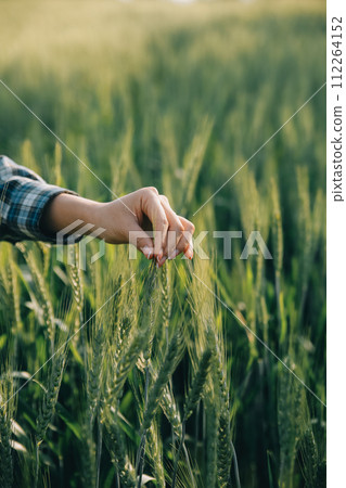 Smart farm. Farmer with tablet in the field. Agriculture, gardening or ecology concept. Harvesting. Agro business. 112264152