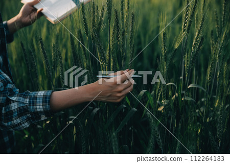 Smart farm. Farmer with tablet in the field. Agriculture, gardening or ecology concept. Harvesting. Agro business. 112264183