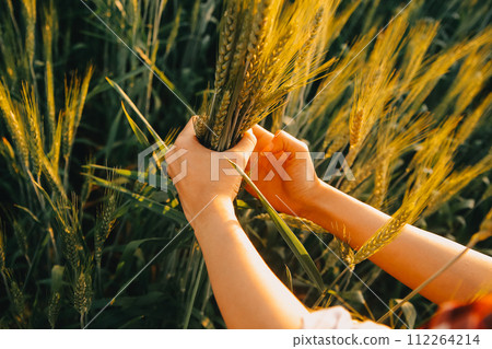 Smart farm. Farmer with tablet in the field. Agriculture, gardening or ecology concept. Harvesting. Agro business. Smart farm. Farmer with tablet in the field. Agriculture, gardening or ecology concept. Harvesting. Agro business. 112264214