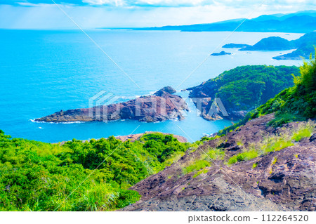 實現願望的來棲海 112264520