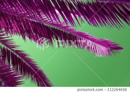 Palm tree leaves on a green background. Close-up. Palm tree leaves on a green background. Close-up. 112264698