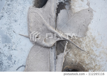 Old cement wall texture. Abstract background for design with copy space. 112265116
