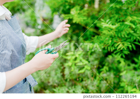 conceptual image photo conceptual image photo 112265194