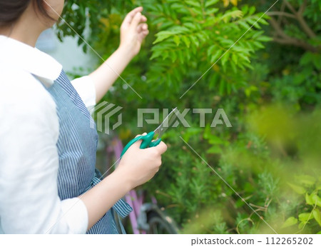 conceptual image photo conceptual image photo 112265202