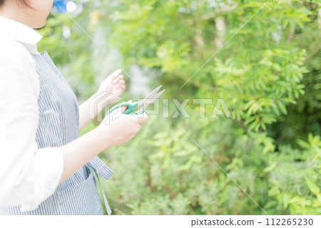 conceptual image photo 112265230