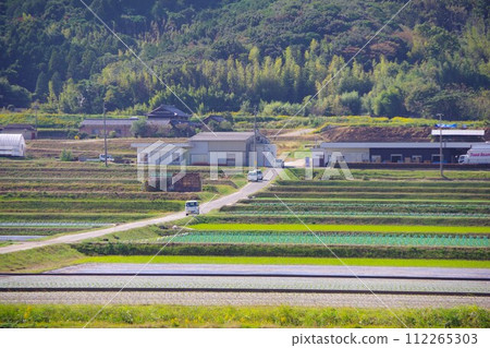 兵庫縣南淡路市三原平原的農業用地 112265303