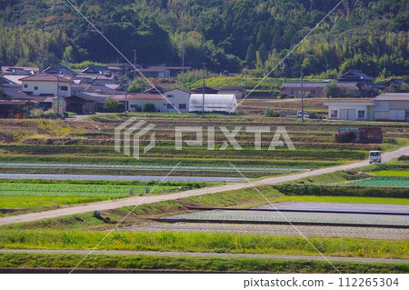 兵庫縣南淡路市三原平原的農業用地 112265304