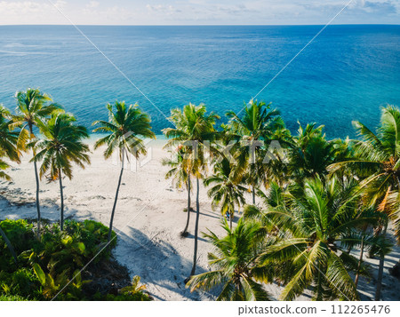 Aerial view of Maldives tropical beach on island. Summer and vacation concept. 112265476