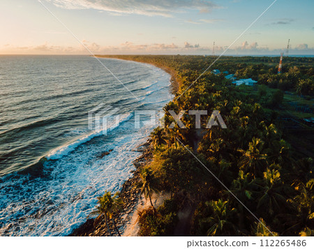 Coastline with coconut palms and sunrise or sunset tones at tropical island in Maldives Coastline with coconut palms and sunrise or sunset tones at tropical island in Maldives 112265486