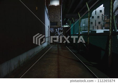 Graffiti appearing in the darkness under the elevated railway at night 112265874