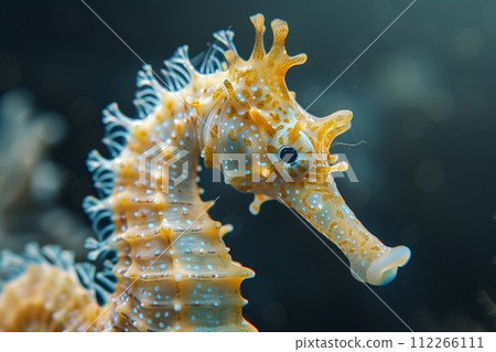 Extreme Macro Shot of Seahorse. Vibrant Orange Hues. Beauty of Nature. Earth Day. AI Generated 112266111