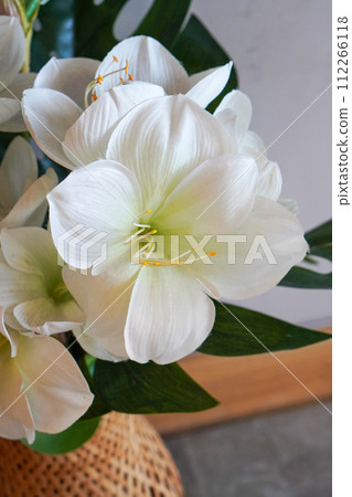 white flowers and green leaf, in wooden vase, white cement wall background, nature, love, decor, copy space 112266118