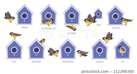 Birdhouse English prepositions. Birds position of bird house, above, around and above flat vector illustration set. Preposition school education 112266308