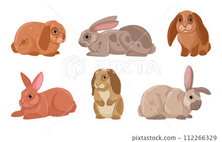 Spring Easter rabbits. Cartoon cute bunny, wildlife eared hare animals, fluffy domestic bunnies flat vector illustration set. Easter holiday rabbits collection 112266329