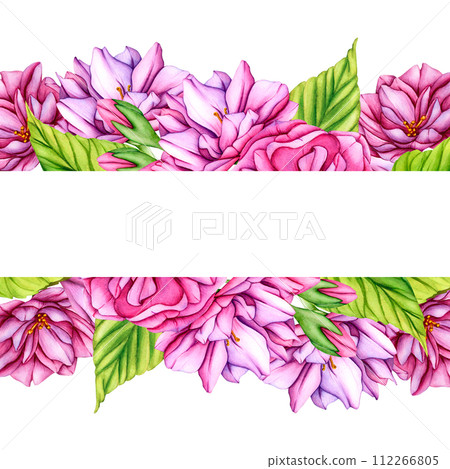 Decoration light pink Cherry Blossom Flowers Frame. Watercolor botanical illustration Japanese Sakura Flowers in spring. Hand drawn flower Buds, Petals Cherry Blossoms Decoration light pink Cherry Blossom Flowers Frame. Watercolor botanical illustration Japanese Sakura Flowers in spring. Hand drawn flower Buds, Petals Cherry Blossoms 112266805