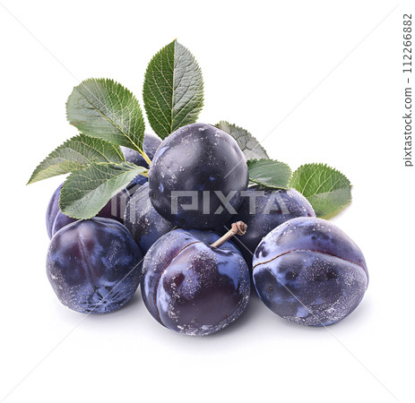 Sweet plums on white backgrounds 112266882