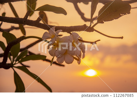 THAILAND SIRACHA KOH LOI ISLAND SUNSET THAILAND SIRACHA KOH LOI ISLAND SUNSET 112267085