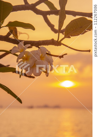 THAILAND SIRACHA KOH LOI ISLAND SUNSET THAILAND SIRACHA KOH LOI ISLAND SUNSET 112267086