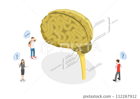 3D Isometric Flat Conceptual Illustration of CNS, Central Nervous System, Human Brain and Nerves Connections 3D Isometric Flat Conceptual Illustration of CNS, Central Nervous System, Human Brain and Nerves Connections 112267912