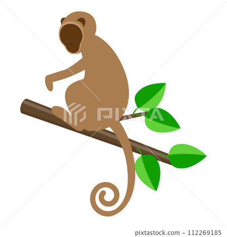 3D Isometric Flat Vector Set of Zoo Animals. Item 3 112269185