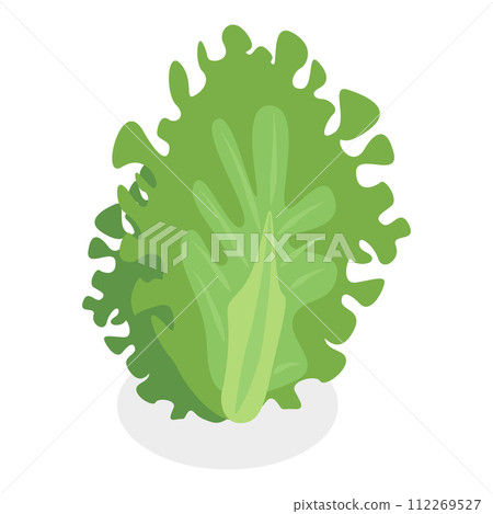 3D Isometric Flat Vector Set of Salad Greens. Item 6 112269527