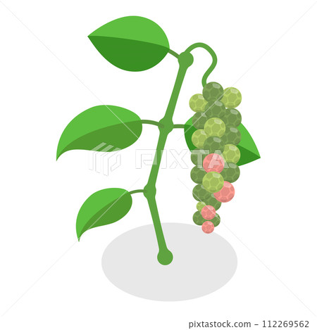 3D Isometric Flat Vector Set of Black Pepper. Item 2 3D Isometric Flat Vector Set of Black Pepper. Item 2 112269562