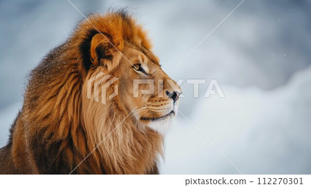 lion 112270301