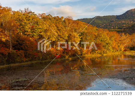 Autumn Shiga Highlands - Autumn leaves on Lotus Pond at dusk Autumn Shiga Highlands - Autumn leaves on Lotus Pond at dusk 112271539