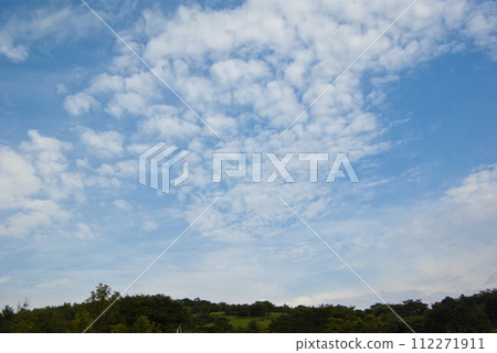 夏天的藍天白雲 112271911