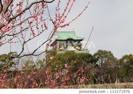 Early spring scenery of Osaka Castle Park with the scent of plum blossoms Early spring scenery of Osaka Castle Park with the scent of plum blossoms 112271970