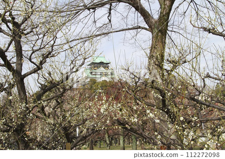 Early spring scenery of Osaka Castle Park with the scent of plum blossoms Early spring scenery of Osaka Castle Park with the scent of plum blossoms 112272098