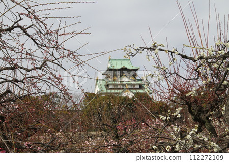 Early spring scenery of Osaka Castle Park with the scent of plum blossoms 112272109