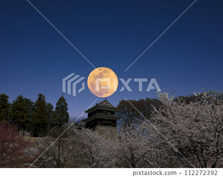 Ueda Castle's night cherry and full moon Ueda Castle's night cherry and full moon 112272392