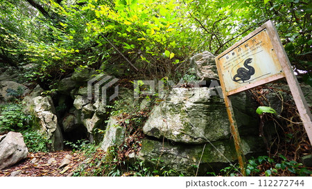 Toyohashi, Aichi Prefecture, Mt. Ishinomaki, Dakeyama, Snake Ana Toyohashi, Aichi Prefecture, Mt. Ishinomaki, Dakeyama, Snake Ana 112272744
