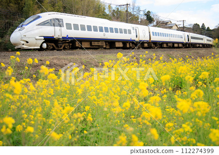 Limited express ``Sonic'' on the Nippo Main Line in spring (JR Kyushu) Limited express ``Sonic'' on the Nippo Main Line in spring (JR Kyushu) 112274399