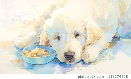 Illustration of a golden retriever lying next to a bowl of food "AI generated image" 112274538