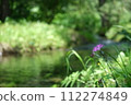 Flowers and rivers 112274849
