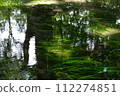 Clear stream 112274851