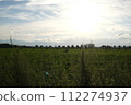 Idyllic scenery 112274937