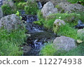 Clear stream 112274938