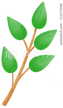 Fresh green leaves branch, Saint Patrick's day Fresh green leaves branch, Saint Patrick's day 112275098