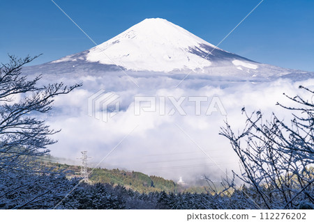 [Shizuoka Prefecture] View of Mt. Fuji and the snowy sea of clouds and Otome Pass 112276202