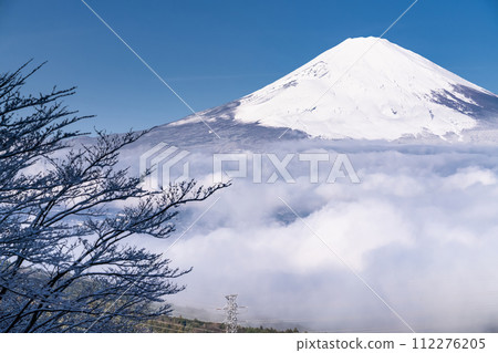 [Shizuoka Prefecture] View of Mt. Fuji and the snowy sea of clouds and Otome Pass 112276205