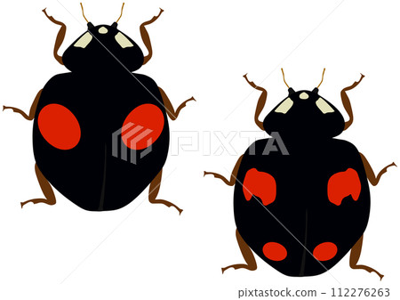 益蟲「奈米瓢蟲」2圖案，黑底紅圖案2，4圖案，黑底紅圖案4，垂直排2 112276263