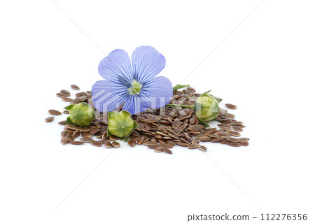 Flax (linseed) flower and seeds over white background Flax (linseed) flower and seeds over white background 112276356